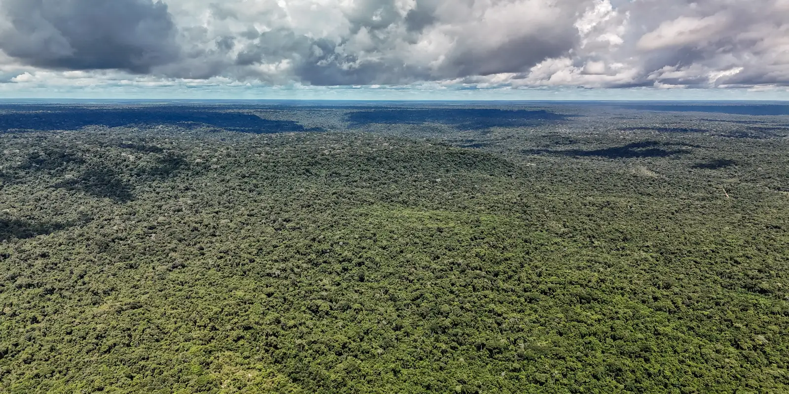 Amazônia registra menor desmatamento em 41 anos: 693 mil ha