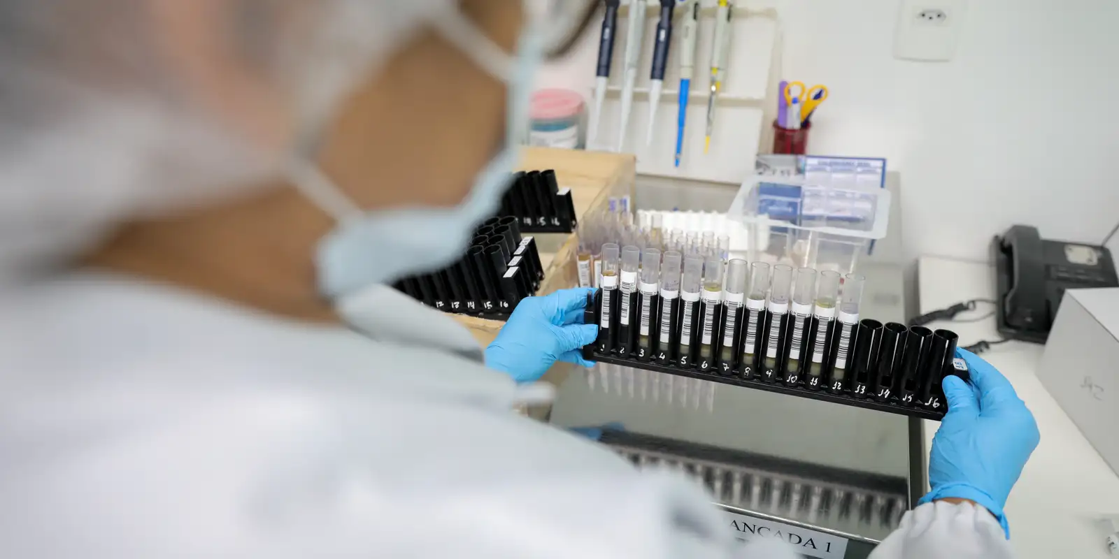 Anvisa autoriza testes da Vivaxin, vacina 100% brasileira contra malária