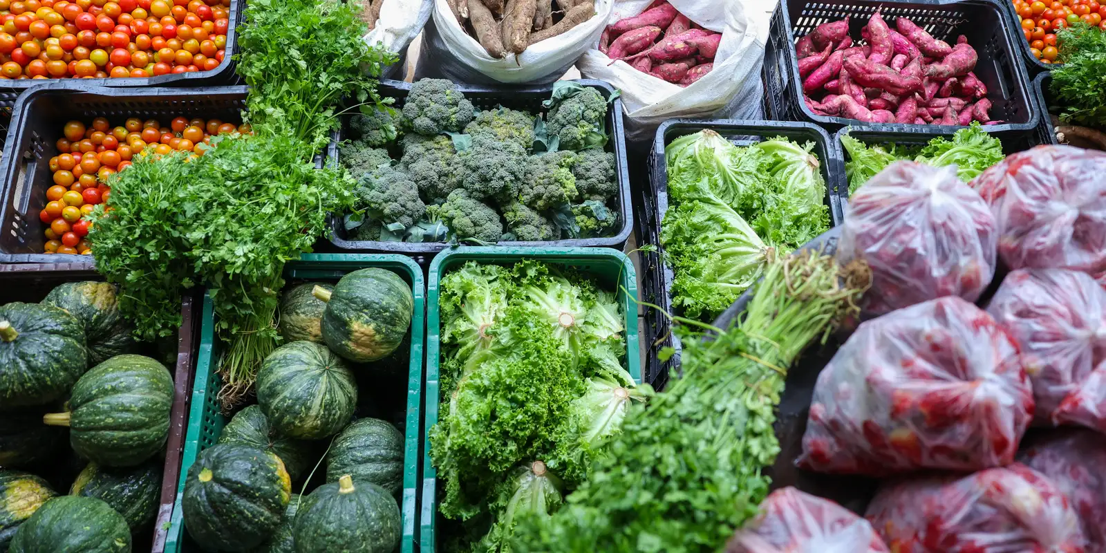 Cozinhas solidárias e agricultores familiares mantêm Brasília longe da fome