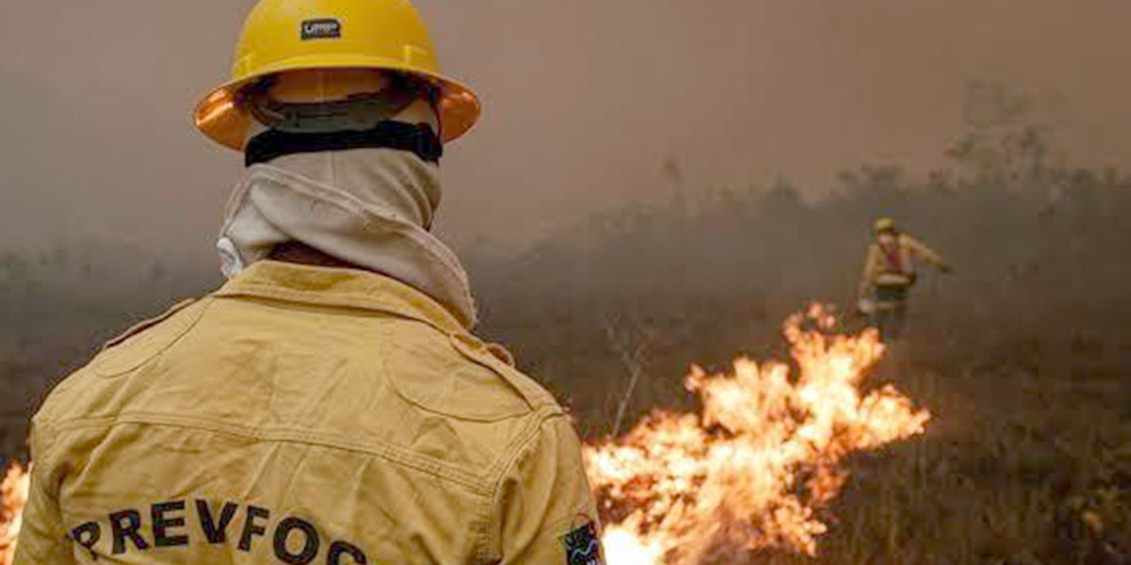 Força-tarefa apaga 300+ focos de incêndio no Amazonas em cinco dias