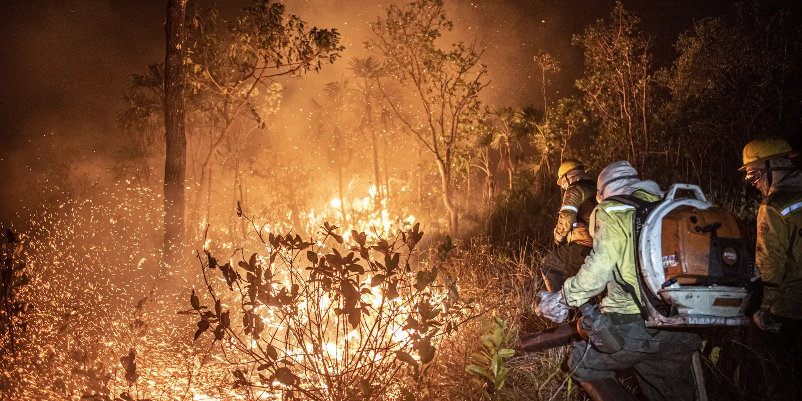 Ibama extingue 229 incêndios no Amazonas e amplia forças de combate