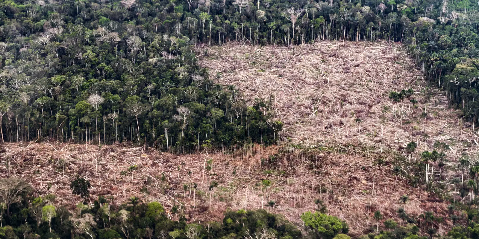 Lula prioriza emergência climática; Flávio foca em infraestrutura
