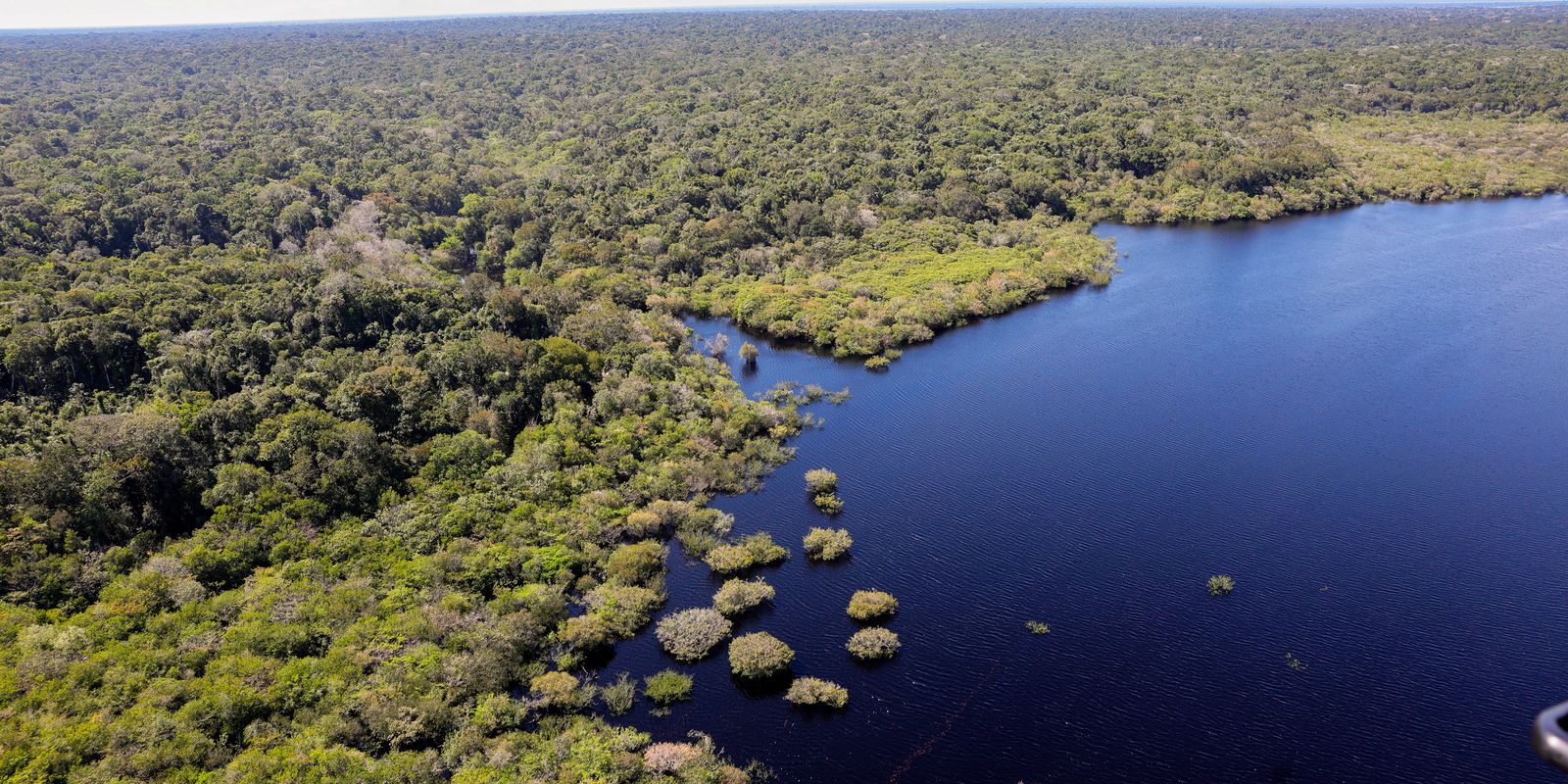 Queda do desmatamento (2023–26) rendeu R$1,16 tri em benefícios climáticos